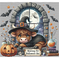 Halloween-WS 2520